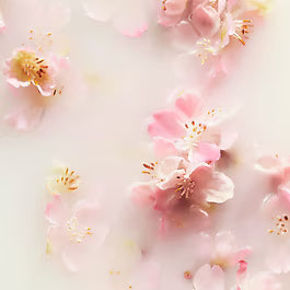 The Ritual of Sakura – Coffret Cadeau XS